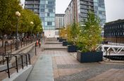 Matching tree planters for public spaces