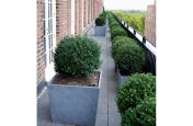 400mm Granite Cube Planters
