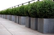 Honed Granite Cube Planters