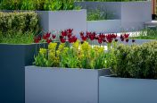 Basalt grey, platinum grey, traffic grey planters