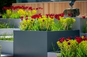 Bespoke powder coated steel planters