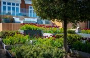 Powder coated steel planters for private residence