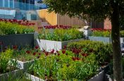 Multi-level steel planters