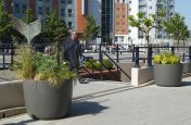 High Performance Fibre Glass Boulevard Planters