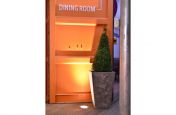 Flagstone Resin-Based Composite Stone Effect Tall Taper 600 planter