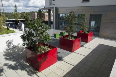 Internally Reinforced Steel Tree Planters At The Hampton By Hilton