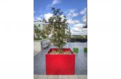Steel Tree Planters Commissioned At The Hampton By Hilton