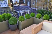 Bespoke Powder Coated Steel Planters at Hans Place Knightsbridge