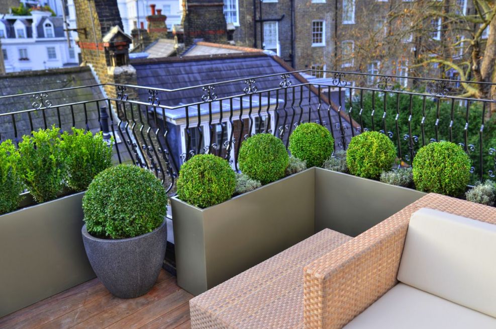 Bespoke Powder Coated Steel Planters at Hans Place Knightsbridge