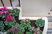 Tailor made aluminium planters