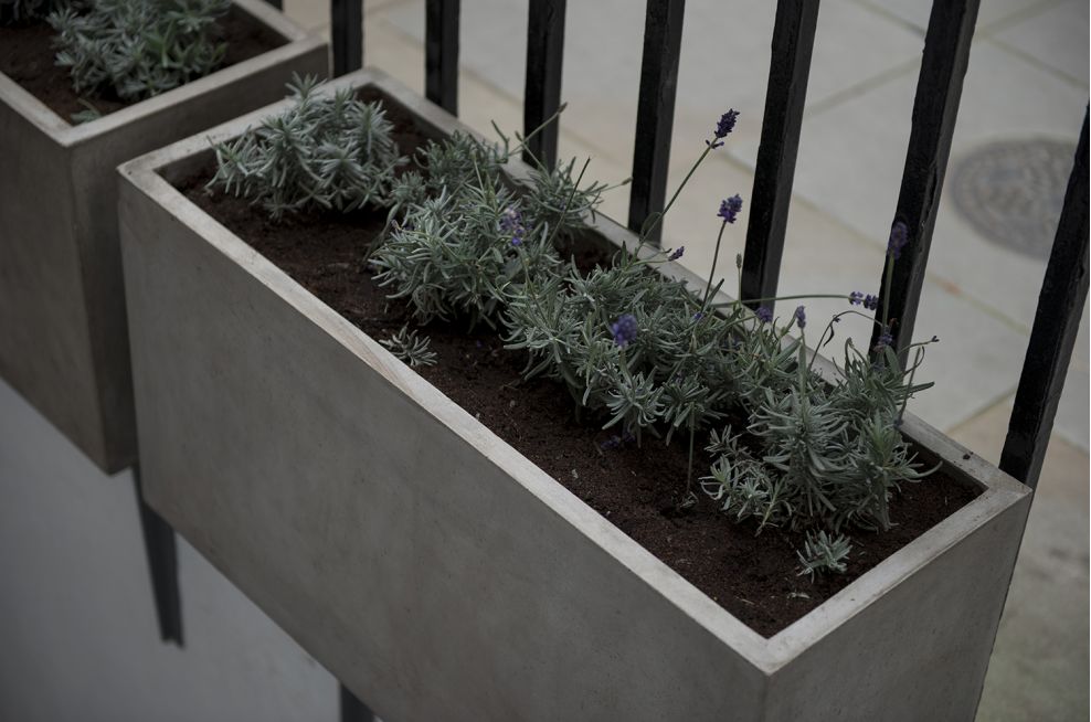 Hotel Indigo London Kensington Cement Composite Planters for