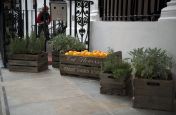 Italian Style Planters For Hotel In London