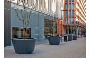 Bespoke conical planters for trees