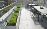 Individual steel trough planters add some green to a London terrace 