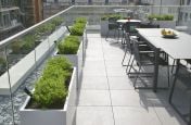 Bespoke Zintec Steel Planters At Investment Company London