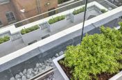 White Aluminium Powder Coated Zintec Steel Planters On Lower Terrace