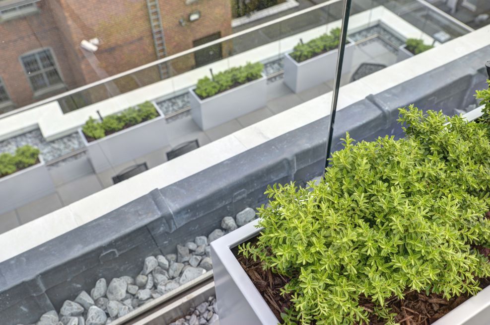 White Aluminium Powder Coated Zintec Steel Planters On Lower Terrace