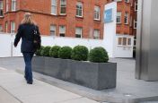 Granite Trough 1000 Street Planters At K West Hotel Entrance