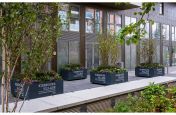 Matching trough and tree planters