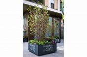 Street planters with decal branding