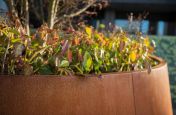 Corten steel planters for public realm