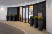 Large conical planters for reception entranceway