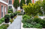 Residential development courtyard garden