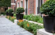 Round planters for Kensington garden