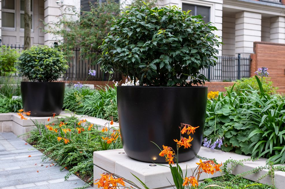 high_end_residential_planters