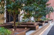 Bespoke Steel Planters for Interiors
