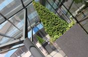 Tall Column Planters For Manchester Stadium