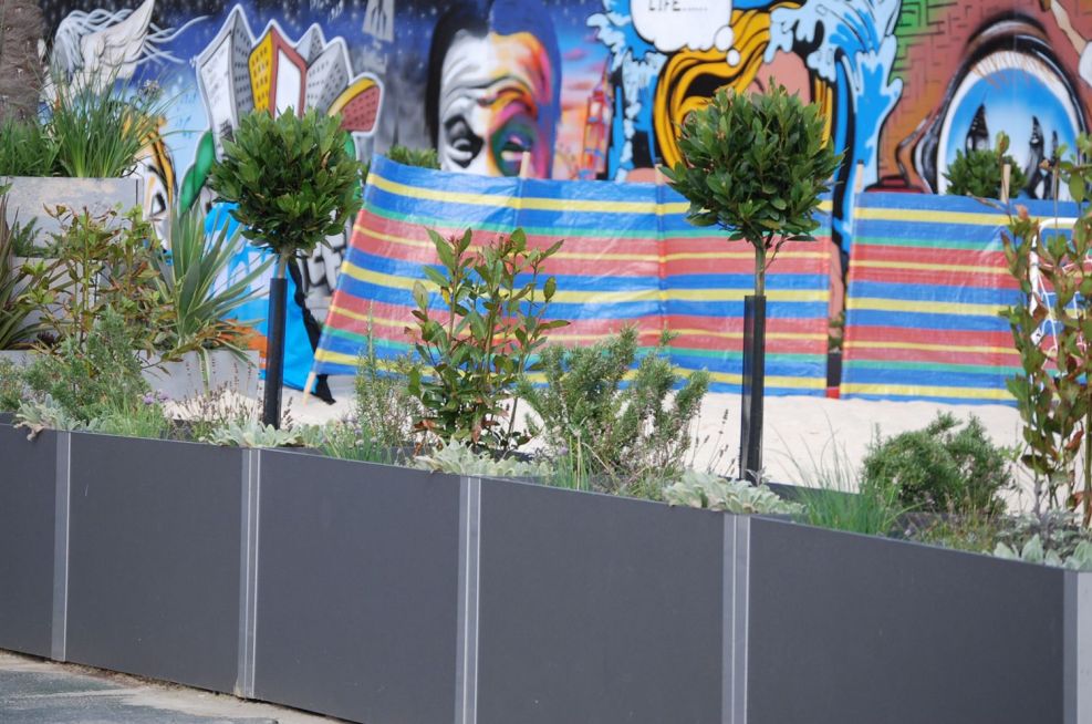 IOTA’s DELTA Carat Steel And Fibre Reinforced Cement Planters
