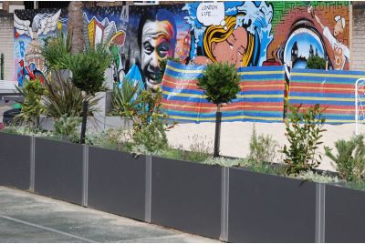 Steel and Fibre Reinforced Cement Planters Marlborough Sports Garden