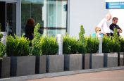 Granite Planters at Mercedes-benz World