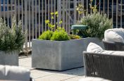 Planters with integrated services
