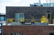 Planters for rooftop terrace