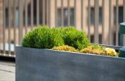Bespoke zinc-clad steel planters