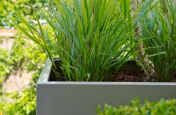 Pebble Grey Powder Coated planters