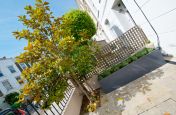 Slate Grey Planters Supplied For Front Of House