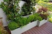 Steel Polyseter Powder Coated Planters