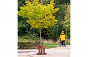 Metal tree guard for public walkways