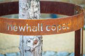 Corten steel custom tree guards