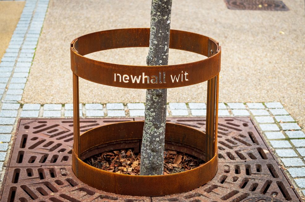 newhall_corten_steel_tree_guards
