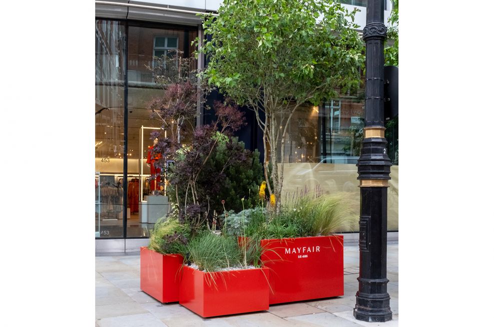 stainless steel shrub and tree planters