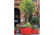 Large tree planters for North Audley Street