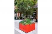 Bold coloured tree planter