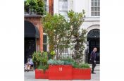 clustered shrub and tree planters