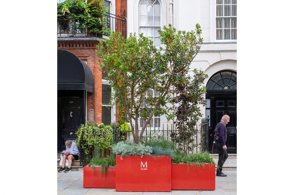 clustered shrub and tree planters