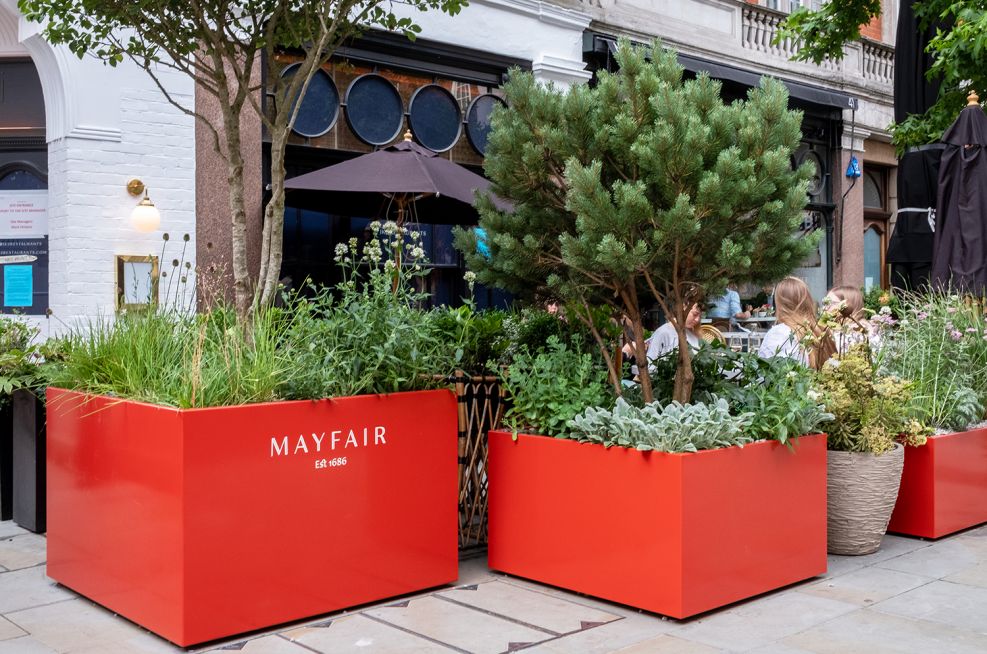 Public realm planters for trees