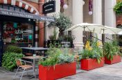 North Audley street planters